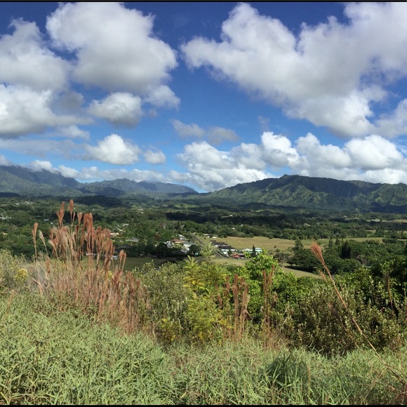 Meet your Posher, Jaqueline - Picture 1 of 1